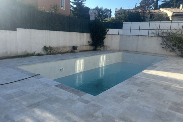 Rénovation Pisicne